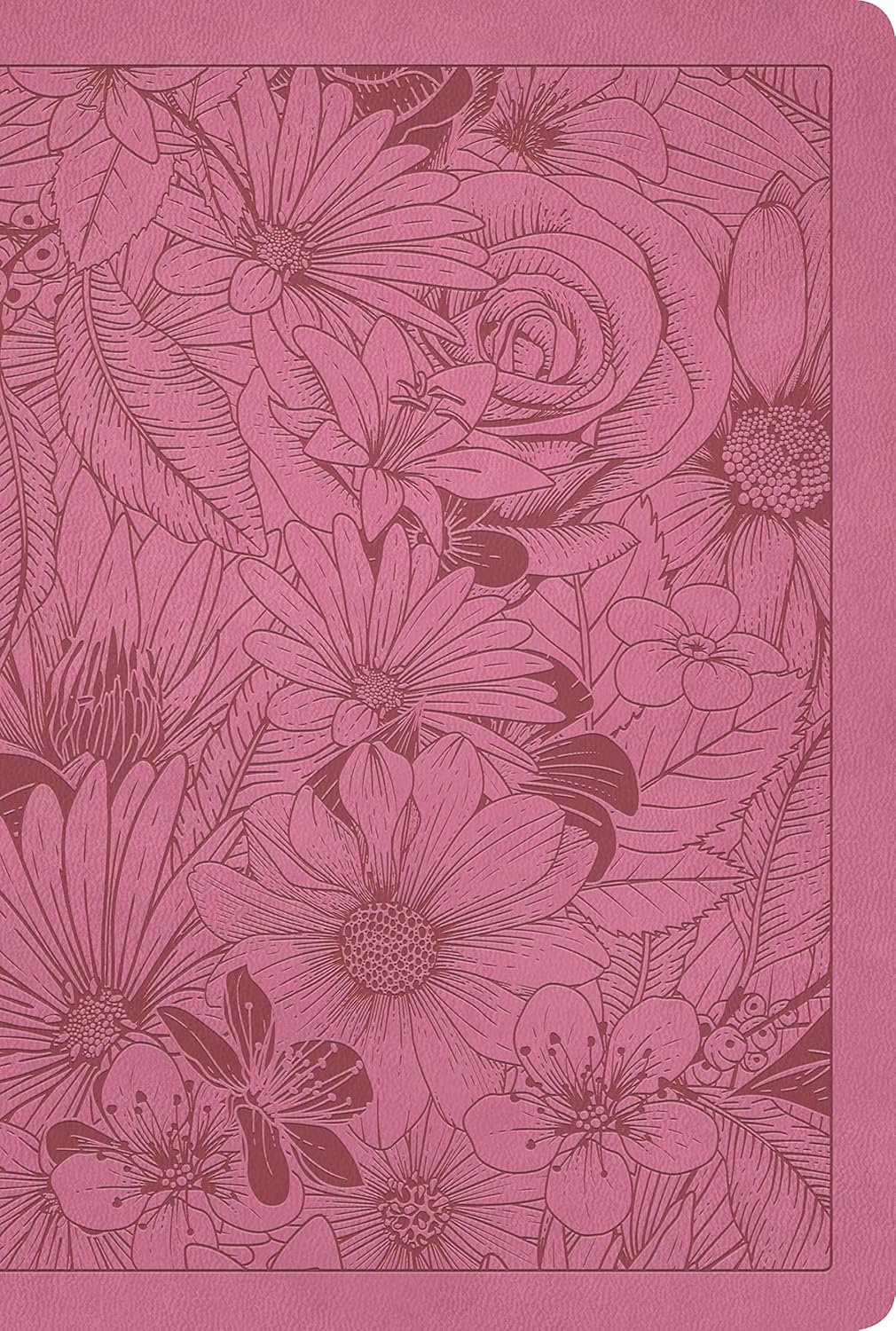 NLT  Bible Thinline Filament Enabled Premium Value(L/P) Pink