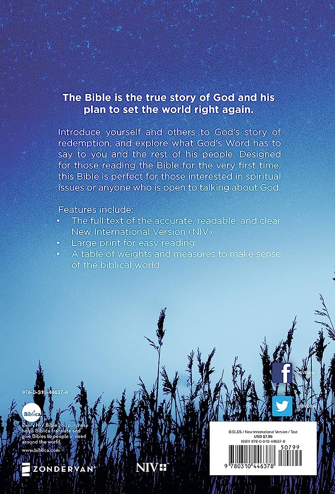 NIV  Bible Value Outreach Blue Wheat (P/B) New Ed