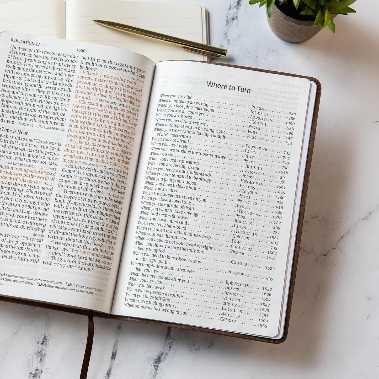 CSB Giant Print reference Bible Brown Leather Touch