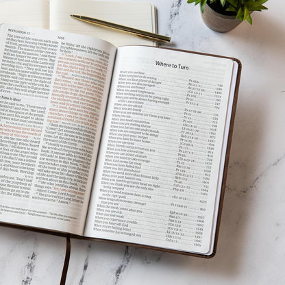 CSB Giant Print reference Bible Brown Leather Touch