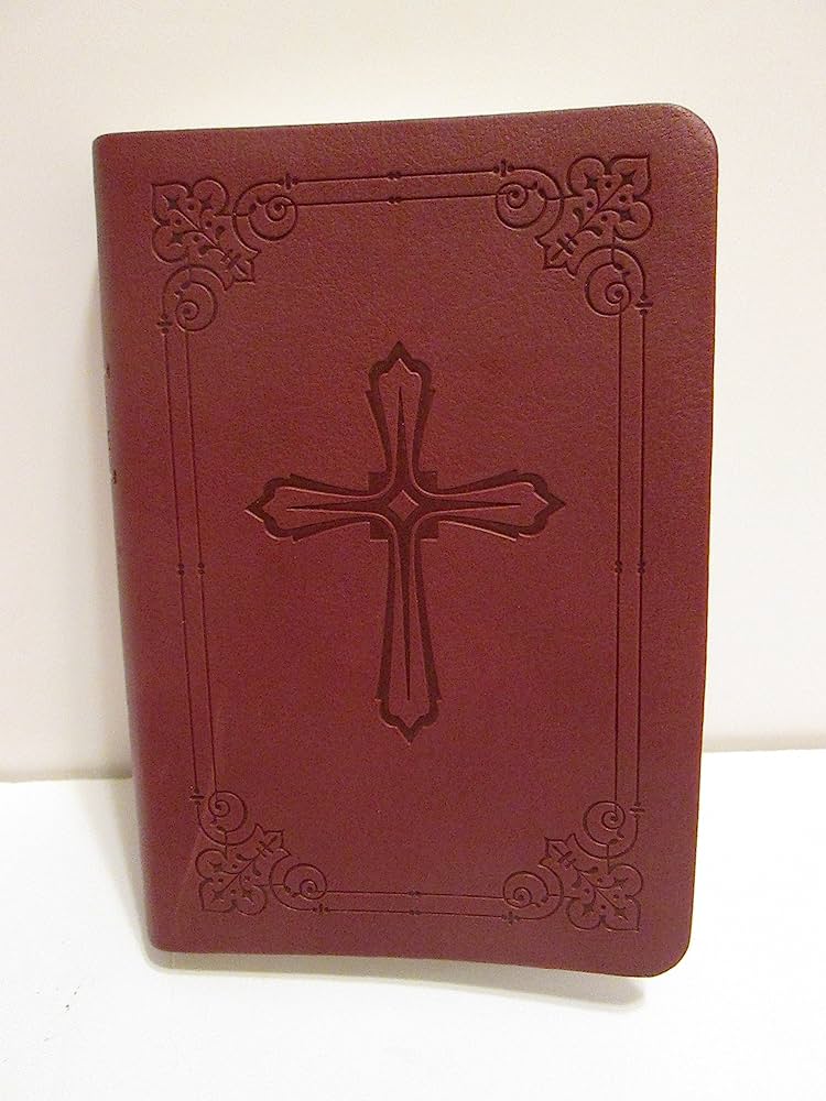 NIV  Bible Compact Burgundy Lth/Soft
