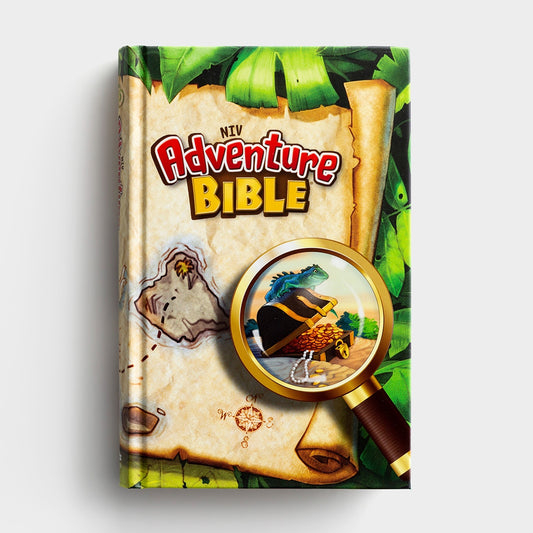 NIV  2011 Adventure Bible H/B(Study For Kids)