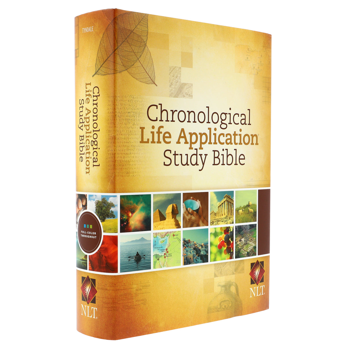Scripture Labs NLT Lab Study Bible Chronological (H/B) – Church Stores