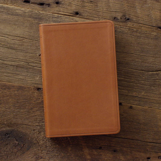 Esv  Bible Thinline Value L/P Camel Trutone