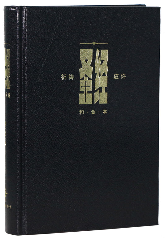 Prayer and Promise Edition. Black hardcover, white border, simplified Chinese