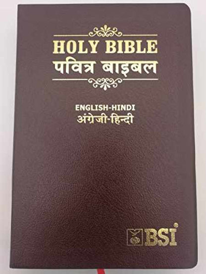 ESV/Hindi Bible  English Hindi (Lthlook) Black