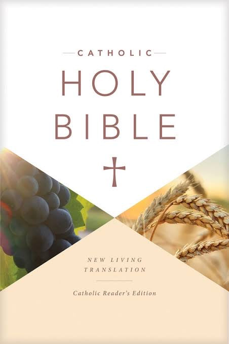NLT  Bible Catholic Readers Edit (Nlk) H/B
