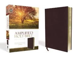 Amplified Bible Bonded Leather Burgundy