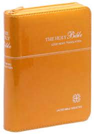 GNB  Gold Zip (Small)