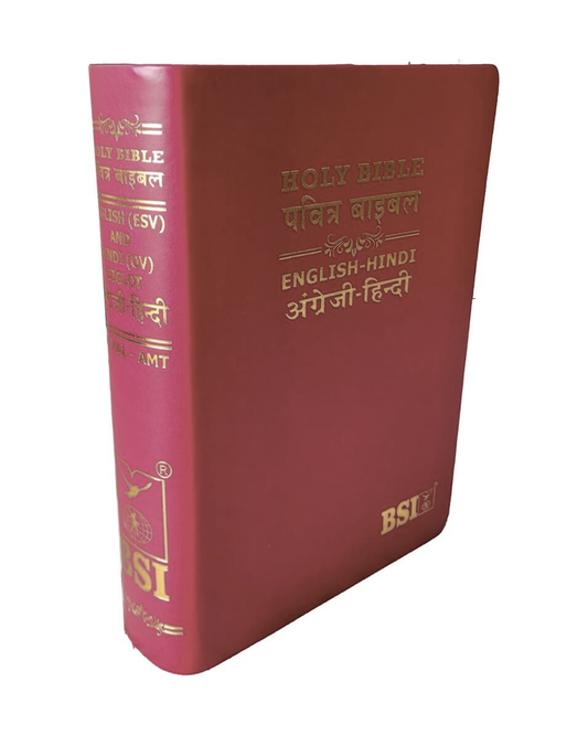 ESV  Hindi / English Bible Lth/Look Gilt Edge